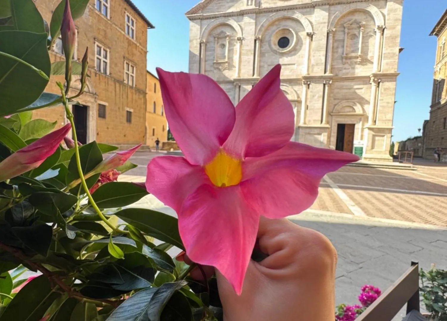 B&B Camere La Vite Pienza 0*,  Italie