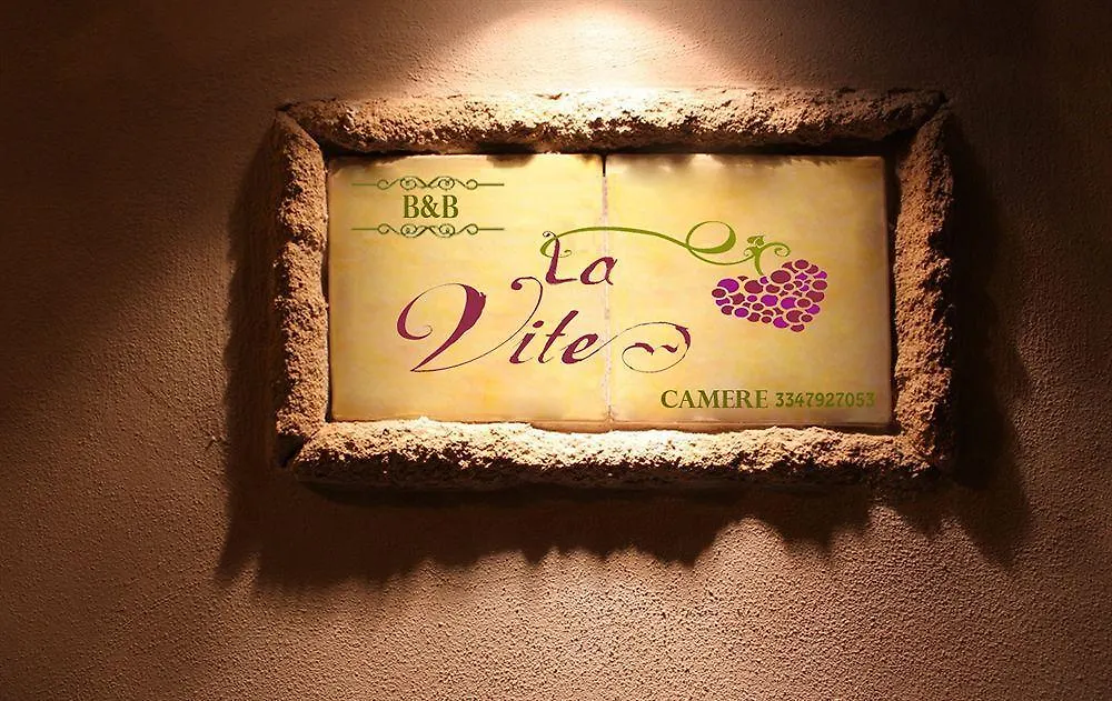 B&B Camere La Vite Pienza Bed & Breakfast
