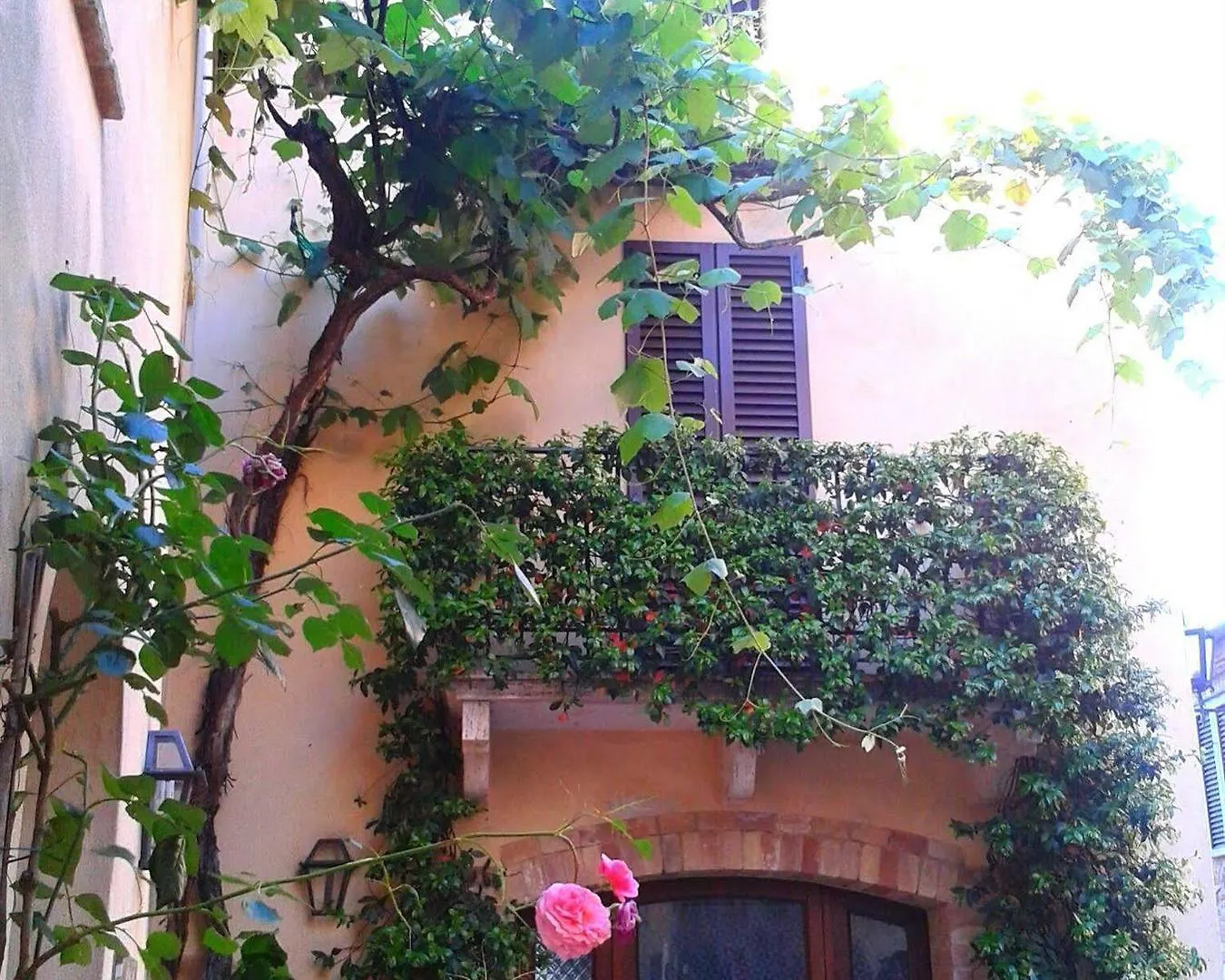 B&B Camere La Vite Pienza